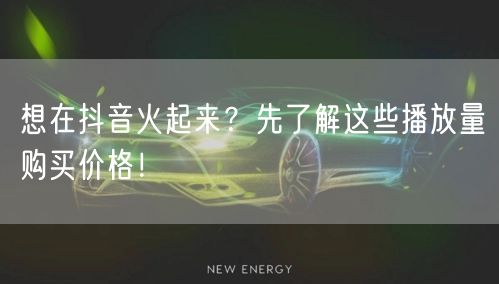 想在抖音火起来？先了解这些播放量购买价格！